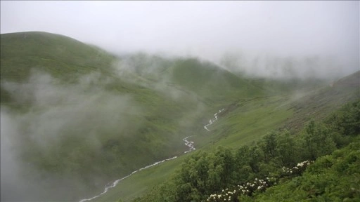 Rize'de '20. Dağ Horozu Şenliği' düzenlendi